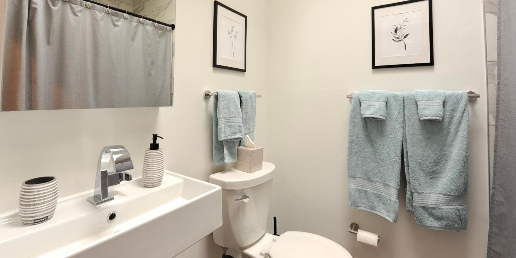Cherry Blossom Townhouse, Easy Dc Access Waszyngton Zewnętrze zdjęcie